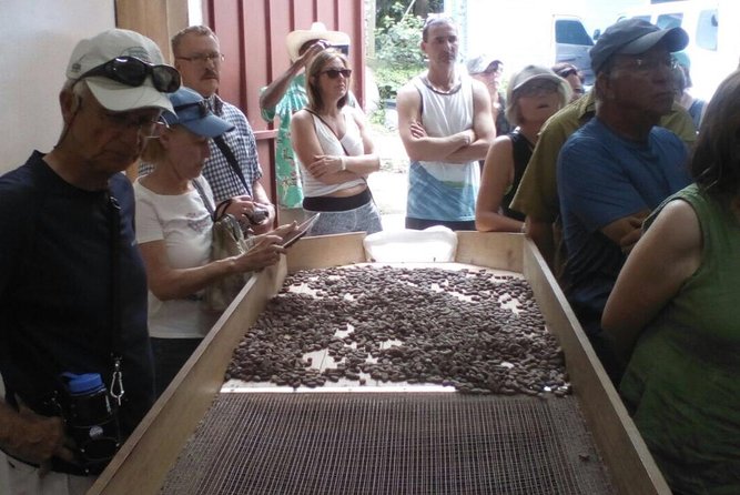 Full-Day Tour: Concord Waterfall, Chocolate Factory, Rum Distillery, Grand Etang - Itinerary and Inclusions