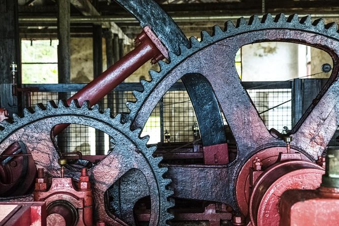 Full-Day Tour: Concord Waterfall, Chocolate Factory, Rum Distillery, Grand Etang - Health and Accessibility