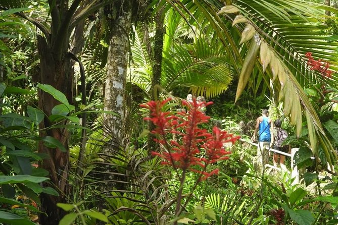 Full-Day Tour: El Yunque, Luquillo Beach, Bio Bay Night Kayaking - Tour Overview