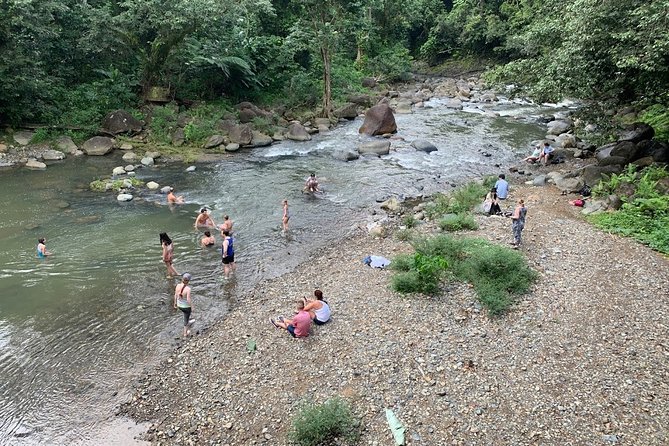 Full-Day Tour: El Yunque, Luquillo Beach, Bio Bay Night Kayaking - Suggestion for Immersive Experience