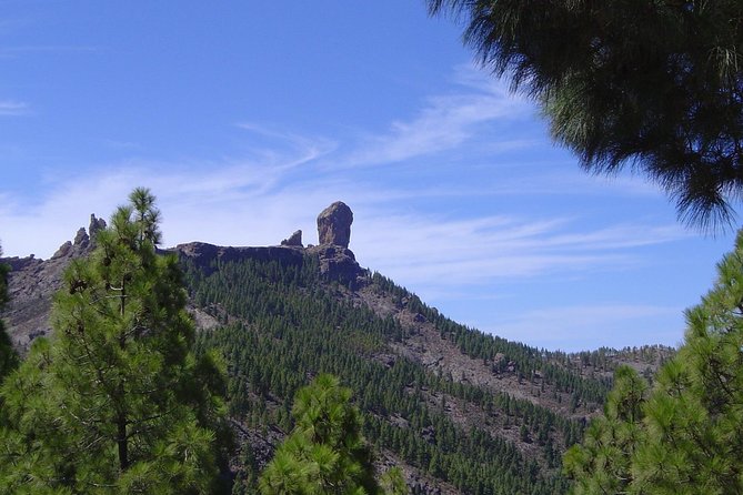 Full-Day Tour Exploring History, Nature and Aloe Vera Farm - Inclusions and Pricing