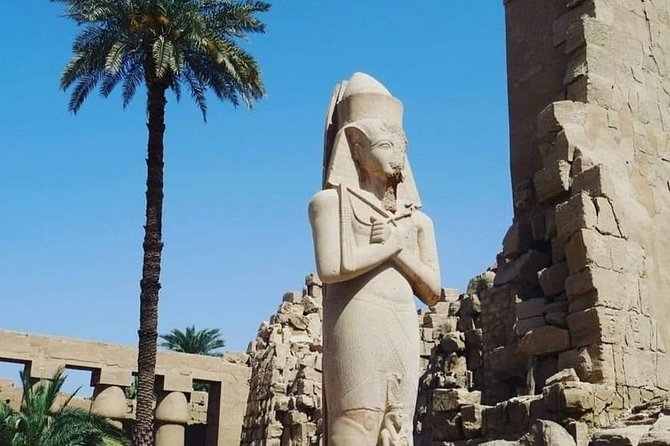 Full Day Tour Form Cairo to Visit East Bank and West Bank Luxor - Wheelchair and Accessibility