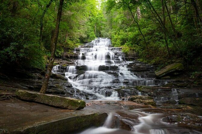 Full Day Tour from Atlanta to Amicalola Falls and Blue Ridge - Who Is This Tour Best Suited For?