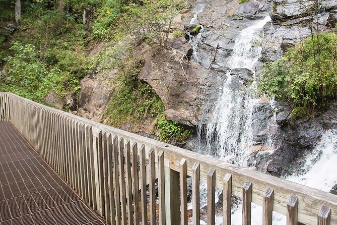 Full Day Tour From Atlanta to Amicalola Falls and Blue Ridge - Pricing and Group Size