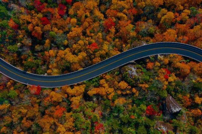 Full Day Tour From Atlanta to Amicalola Falls and Blue Ridge - What to Expect on the Tour