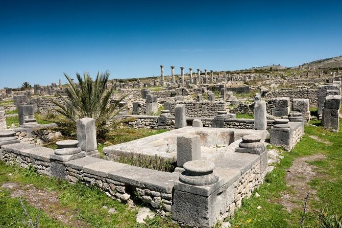 Full-Day Tour From Fez to Volubilis, Moulay Idriss Zerhoun, Meknes - Visiting Moulay Idriss Zerhoun