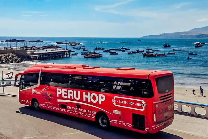 Full Day Tour From Lima: Ballestas Islands and Paracas Reserve - Tour Schedule and Experience
