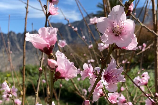 Full Day Tour From Wakan to Jebel Akhdar Trekking - Pricing and Cancellation Policy