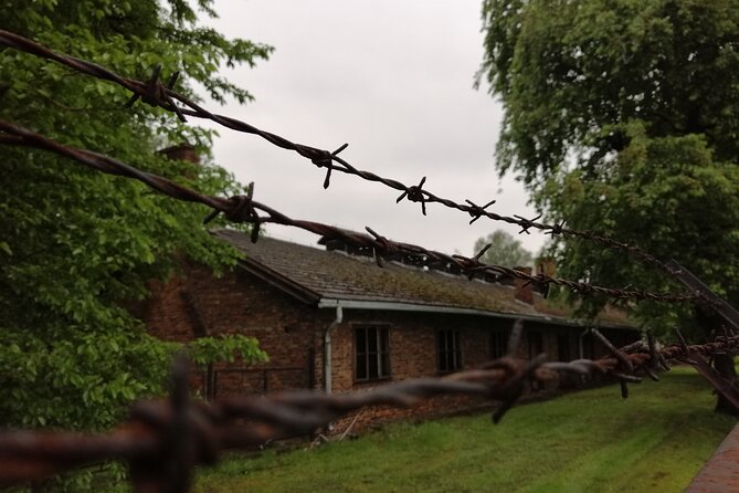 Full-Day Tour From Warsaw to Auschwitz (Guided) and Krakow by Car - Transportation and Driver Experience