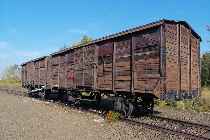 Full-Day Tour From Warsaw to Auschwitz (Guided) and Krakow by Car - Krakow Visit Details