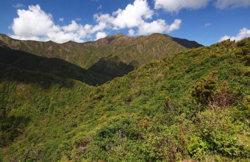 Full Day Tour Furnas and Nordeste 80€ - Key Points