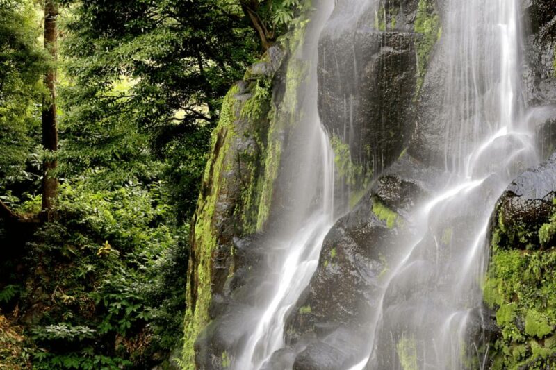 Full Day Tour Furnas and Nordeste 80€ - Experience Highlights