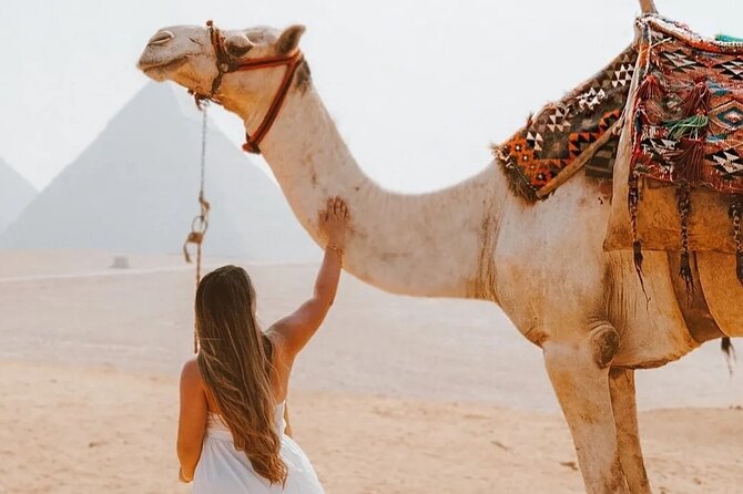 Full Day Tour Giza Pyramids, Sphinx and Egyptian Museum &Felucca - Expert Guidance
