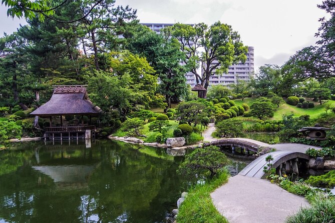 Full Day Tour Hiroshima Hidden Gems and Highlights - Participant Information and Feedback