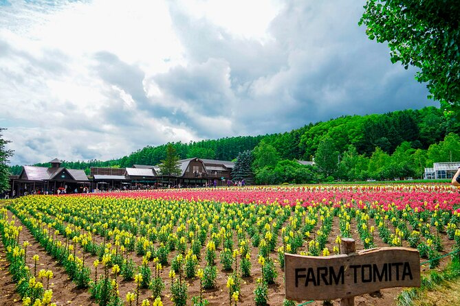 Full Day Tour Hokkaido Biei Green Pond and Furano Flower Sea - Cancellation Policy
