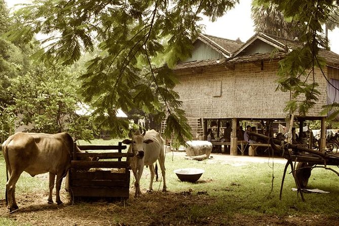 Full-Day Tour & Homestay in the Battambang Countryside - Inclusions and Itinerary