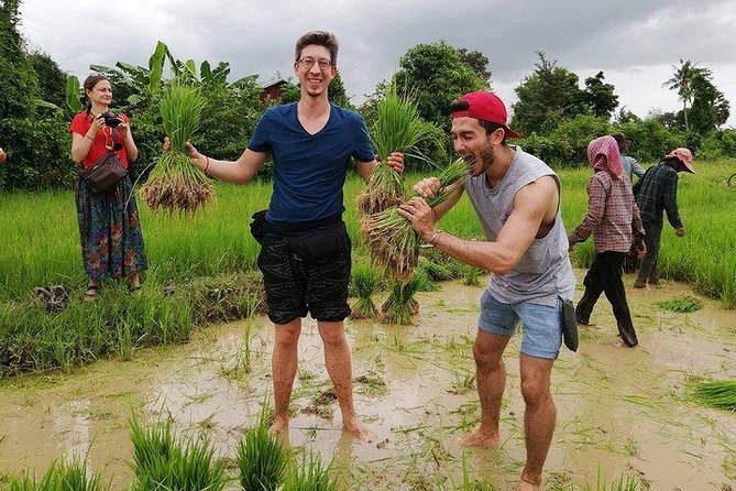 Full-Day Tour & Homestay in the Battambang Countryside - Tour Experience and Accessibility