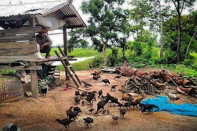 Full-Day Tour & Homestay in the Battambang Countryside - Pricing and Availability