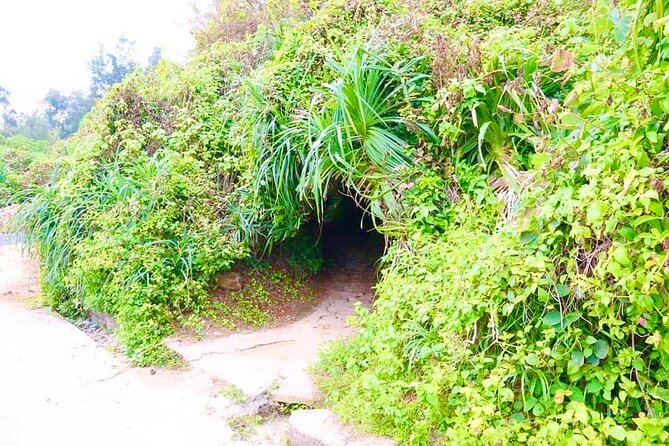 Full Day Tour (hue – Vinh Moc Tunnel – Khe Sanh –hue) - Additional Info