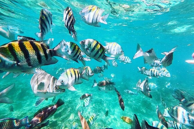 Full-Day Tour in 5 Islands of Cartagena With Snorkel Included - Key Points