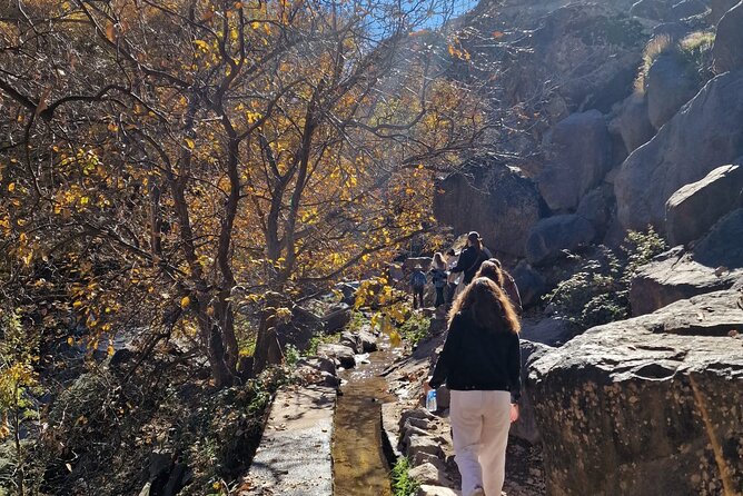 Full-Day Tour in Atlas Mountain From Marrakech With Lunch - Additional Information