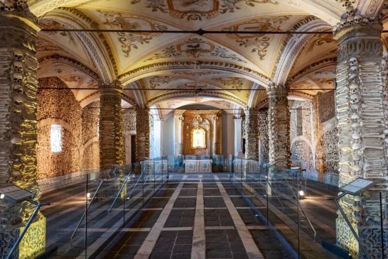 Full Day Tour in Evora - Driver & Service