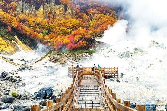 Full Day Tour in Hokkaido and Lake Toya - Health and Accessibility Requirements