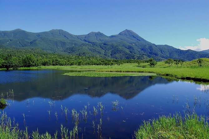 Full-day Tour in Hokkaido Natural Heritage Shiretoko Adventure - Health Restrictions and Children Policy