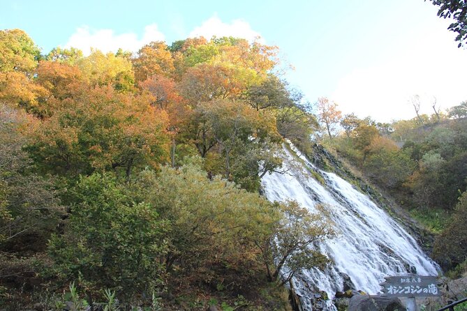 Full-day Tour in Hokkaido Natural Heritage Shiretoko Adventure - Operational Conditions