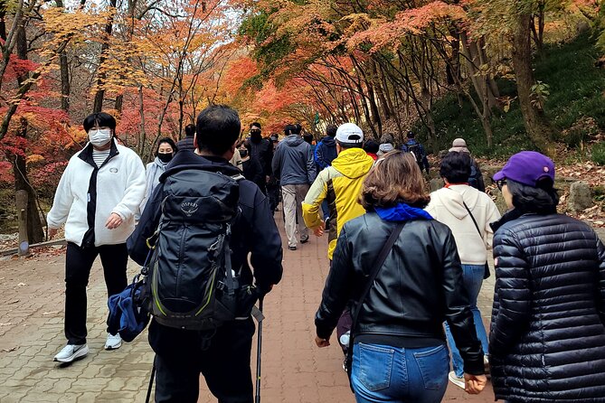 Full Day Tour in Jeju Island - Pickup Details