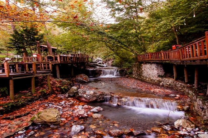 Full-Day Tour in Maşukiye and Sapanca With Pick up - Traveler Reviews