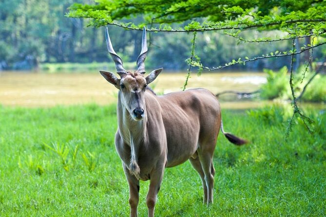 Full Day Tour in Mombasa - Inclusions
