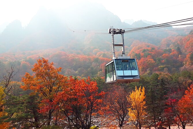 Full-Day Tour in Mt. Seorak & Nami (+Rail Bike Option) - Highlights of the Tour