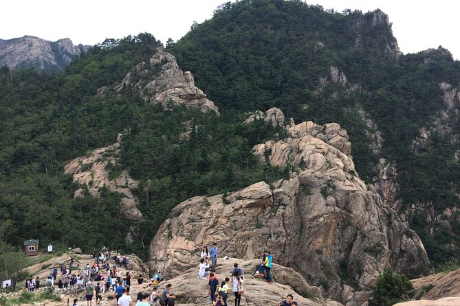 Full-Day Tour in Mt. Seorak & Nami (+Rail Bike Option) - Inclusions