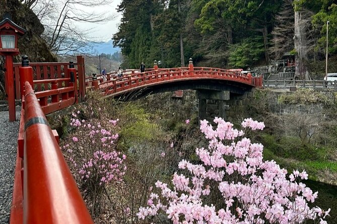 Full Day Tour in Nikko With Pickup - About the Tour