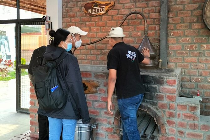 Full Day Tour in Paracas-Ica and Oasis Huacachina - Transportation and Inclusions