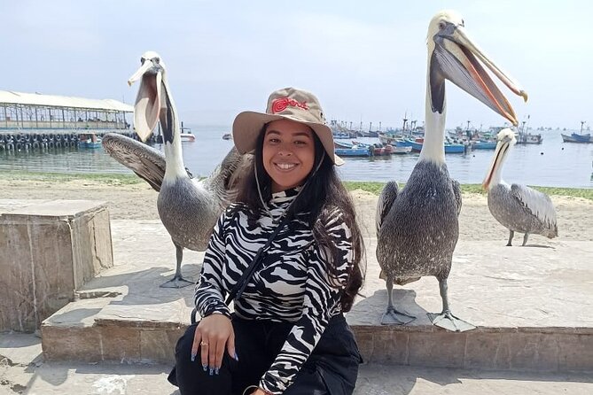 Full Day Tour in Paracas-Ica and Oasis Huacachina - Pickup and Tour Details