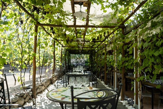 Full Day Tour in Pompei With Winery Lunch - Authorized Local Guide Insights