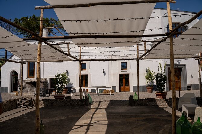 Full Day Tour in Pompei With Winery Lunch - Cancellation and Booking Flexibility