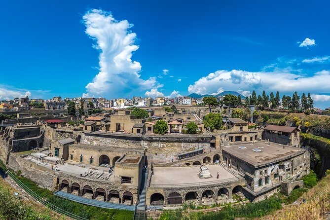 Full Day Tour in Pompeii, Herculaneum and Vesuvius - Review Summary