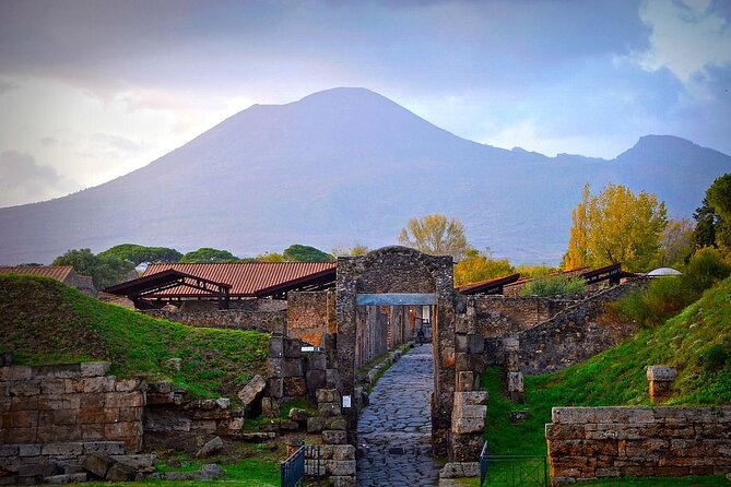 Full-Day Tour in Pompeii, Herculaneum and Vesuvius With Lunch - Pickup and Arrival Information