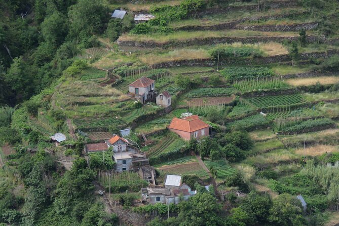 Full Day Tour in Porto Moniz With the Locals - Tour Accessibility