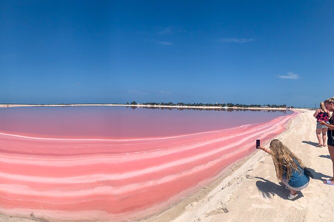 Full Day Tour in Rio Lagartos and Coloradas With Lunch - Key Points