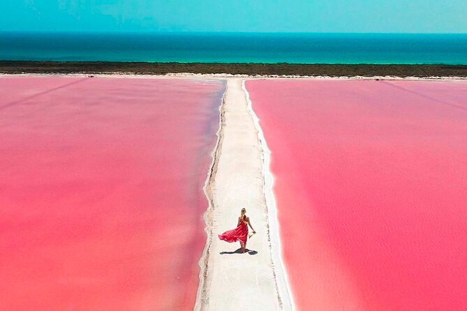 Full Day Tour in Rio Lagartos and Coloradas With Lunch - Pricing and Special Offers