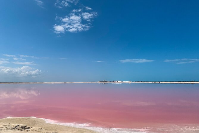 Full Day Tour in Rio Lagartos and Coloradas With Lunch - Traveler Reviews