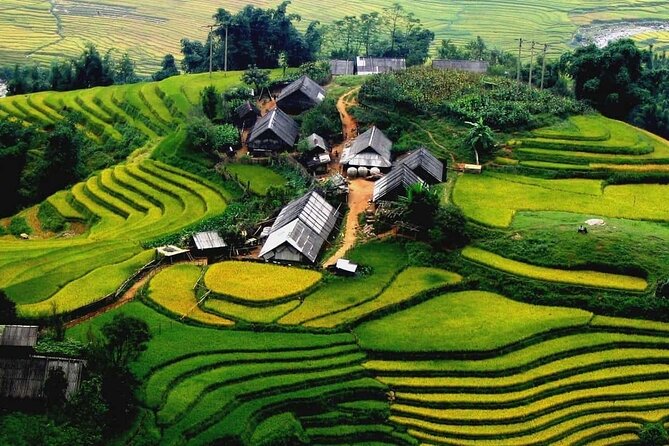 Full Day Tour in Sapa Trekking With Local Guide - Key Points