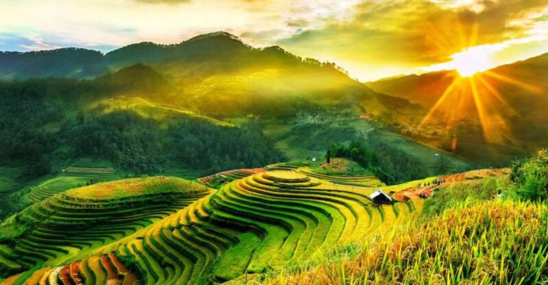 Full Day Tour in Sapa Trekking With Local Guide - Key Points