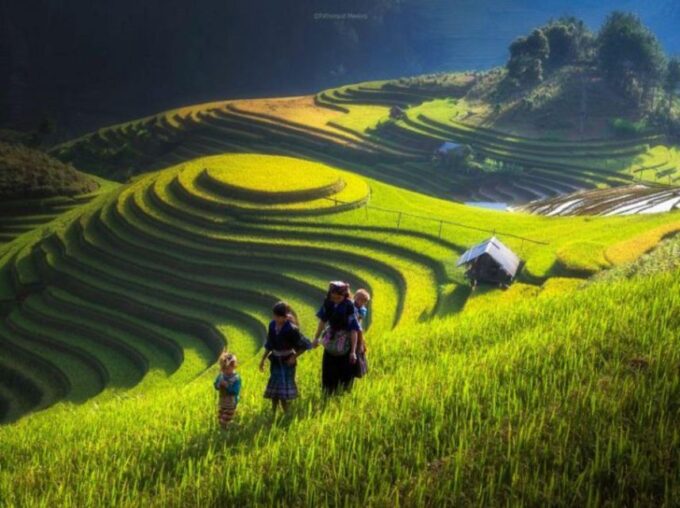 Full Day Tour in Sapa Trekking With Local Guide - Excluded Services