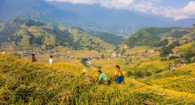 Full Day Tour in Sapa Trekking With Local Guide - Hotel Pickup and Drop-off