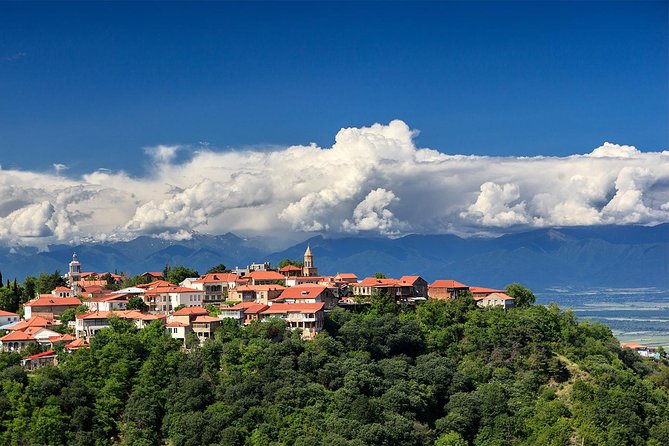 Full Day Tour in Sighnaghi Bodbe Tsinandali From Tbilisi - Transportation and Logistics